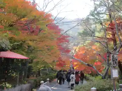 二尊院(京都府)