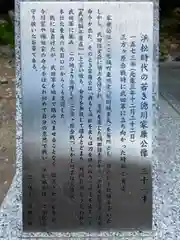 元城町東照宮の歴史