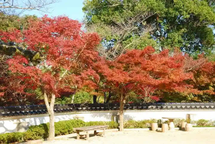 妙徳寺(山口県)