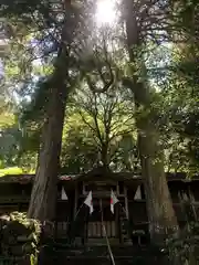 白水阿蘇神社の本殿