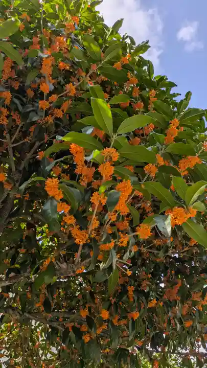 行願寺(革堂)(京都府)