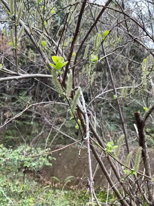 尾張冨士大宮浅間神社(愛知県)