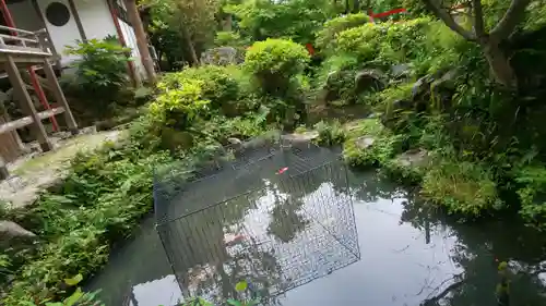 出雲大神宮の庭園