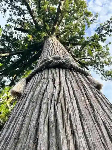興国寺(和歌山県)