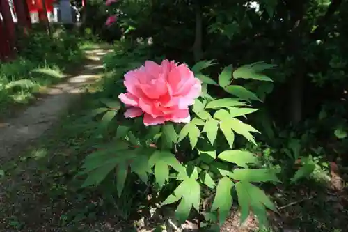 愛宕神社の庭園