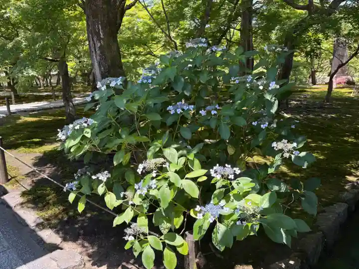 東福禅寺(東福寺)(京都府)