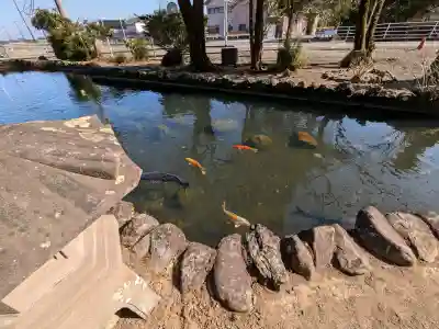 今泉神社の{uncategorized: "未分類", other: "その他", undefined: "問題あり", building: "その他建物", grave: "お墓", sacred_gate: "鳥居", guardian: "狛犬", statue: "像", buddha: "仏像", history: "歴史", nature: "自然", garden: "庭園", animal: "動物", pagoda: "塔", temizu: "手水舎", mountain_gate: "山門・神門", sanctuary: "本殿・本堂", subordinate: "末社・摂社", art: "芸術", scenery: "景色", jizo: "地蔵", ema: "絵馬", goshuin: "御朱印", omikuji: "おみくじ", items: "授与品その他", amulet: "お守り", goshuincho: "御朱印帳", eats: "食事", festival: "お祭り", votive_dance: "神楽", shichigosan: "七五三参", wedding: "結婚式", experience: "体験その他", initially: "初詣", around: "周辺", anti_infection: "感染症対策"}