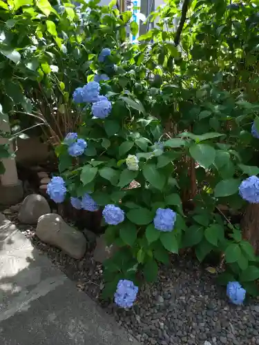 八幡神社(東京都)