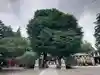 亀ケ池八幡宮(神奈川県)