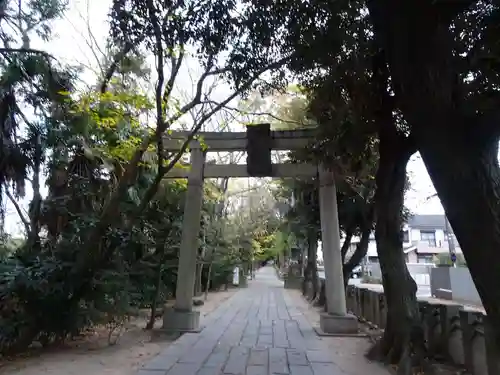 越ヶ谷久伊豆神社の鳥居