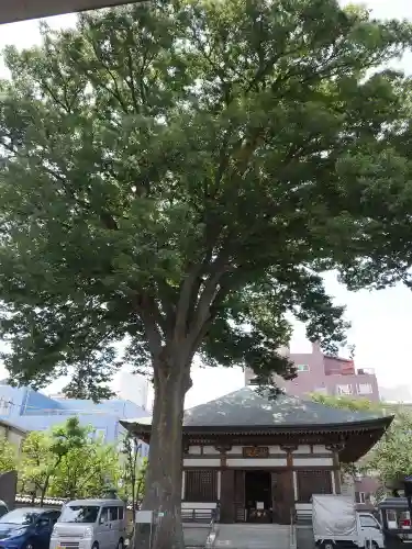 總持寺の自然