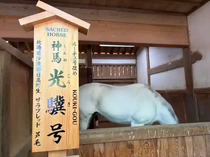 金刀比羅宮の{uncategorized: "未分類", other: "その他", undefined: "問題あり", building: "その他建物", grave: "お墓", sacred_gate: "鳥居", guardian: "狛犬", statue: "像", buddha: "仏像", history: "歴史", nature: "自然", garden: "庭園", animal: "動物", pagoda: "塔", temizu: "手水舎", mountain_gate: "山門・神門", sanctuary: "本殿・本堂", subordinate: "末社・摂社", art: "芸術", scenery: "景色", jizo: "地蔵", ema: "絵馬", goshuin: "御朱印", omikuji: "おみくじ", items: "授与品その他", amulet: "お守り", goshuincho: "御朱印帳", eats: "食事", festival: "お祭り", votive_dance: "神楽", shichigosan: "七五三参", wedding: "結婚式", experience: "体験その他", initially: "初詣", around: "周辺", anti_infection: "感染症対策"}