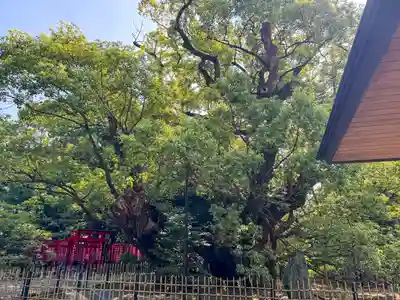 浜松八幡宮(静岡県)