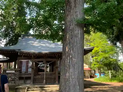 八坂神社（葛生町）の本殿・本堂