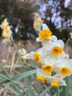 長谷寺(神奈川県)