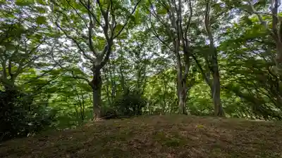 愛宕神社(奈良県)