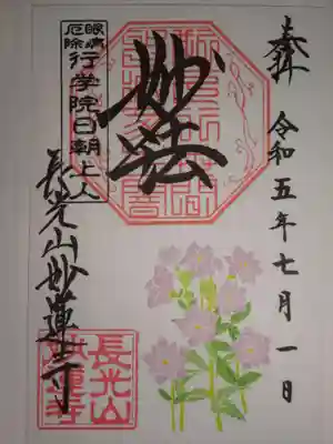 御朱印　二重咲藤色キキョウ