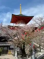 中山寺(兵庫県)