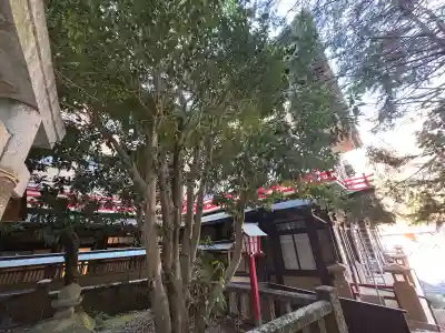 熊野神社の周辺