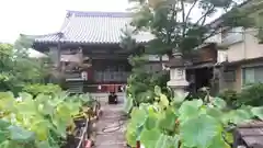 大蓮寺の庭園