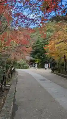 宇治上神社(京都府)