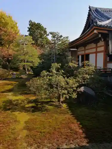 聖護院門跡の庭園