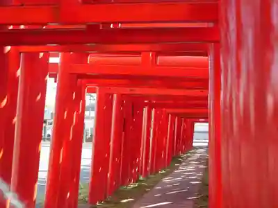 小泉稲荷神社の鳥居