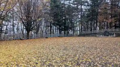 上川神社の庭園