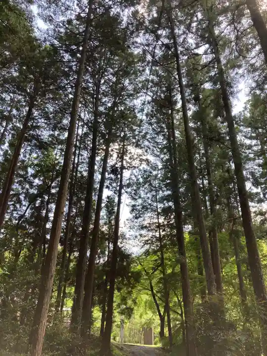 八幡神社松平東照宮の自然