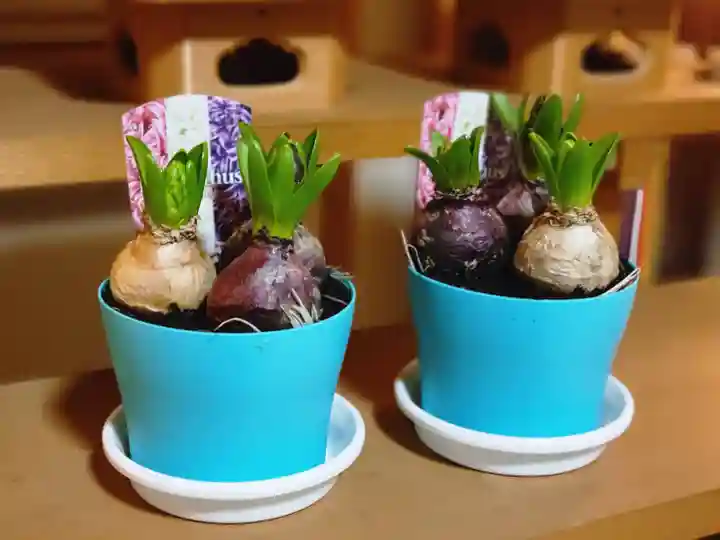 伏木香取神社のその他建物