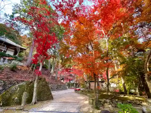 瓦屋寺(滋賀県)