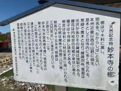 妙本寺(千葉県)