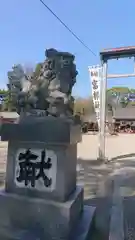富部神社の狛犬