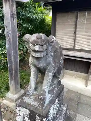 新羽杉山神社の狛犬