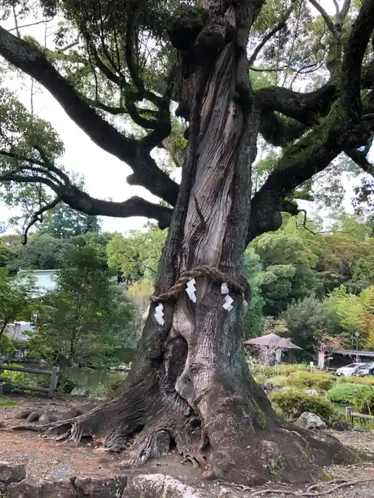 静岡浅間神社(静岡県)