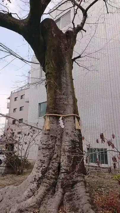 安井金比羅宮(京都府)