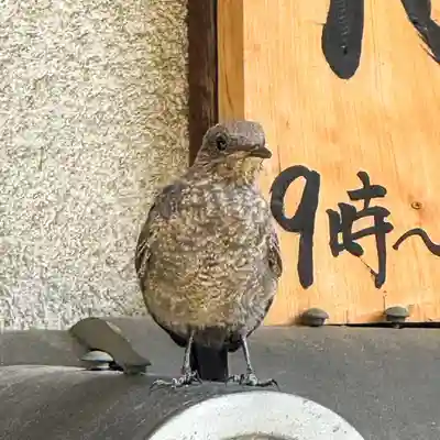 伊勢の国 四天王寺(三重県)