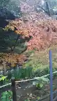 鷲宮神社の自然