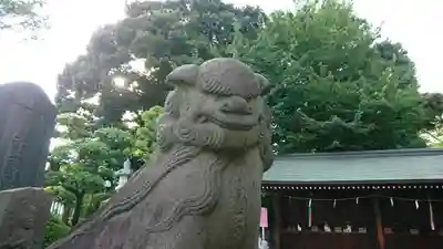 赤羽八幡神社の狛犬
