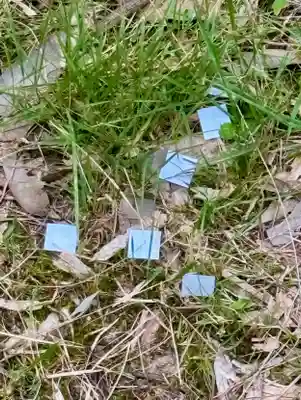 蚊里田八幡宮(長野県)