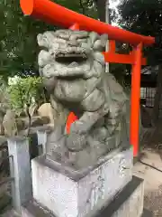 羊神社の狛犬