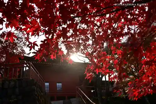 武蔵御嶽神社の自然