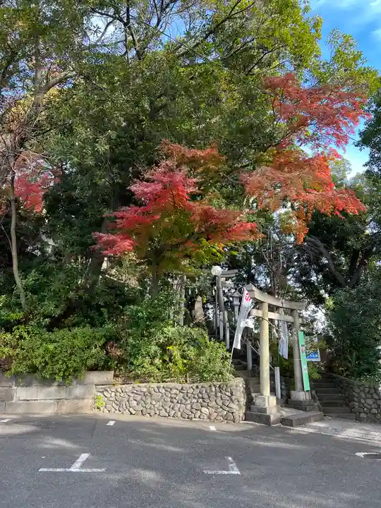 多摩川浅間神社の鳥居