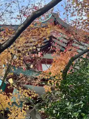 多摩川浅間神社のその他建物