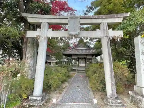 白鬚神社(滋賀県)