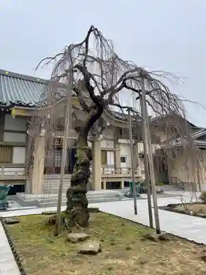 蓮香院(宮城県)