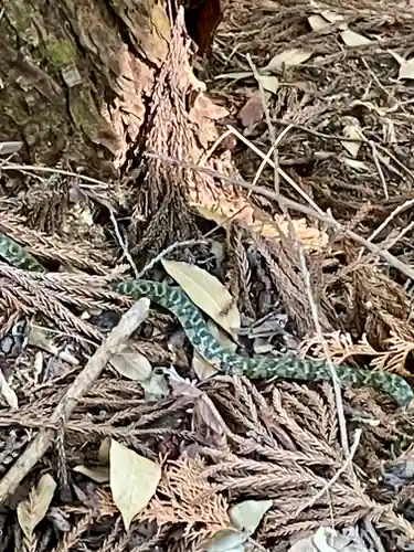 弘川寺(大阪府)