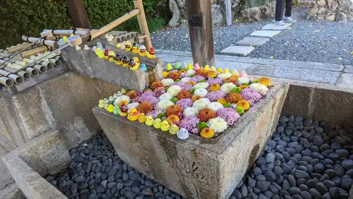 くろ谷 金戒光明寺(京都府)