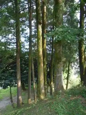 世貫神社(鹿児島県)