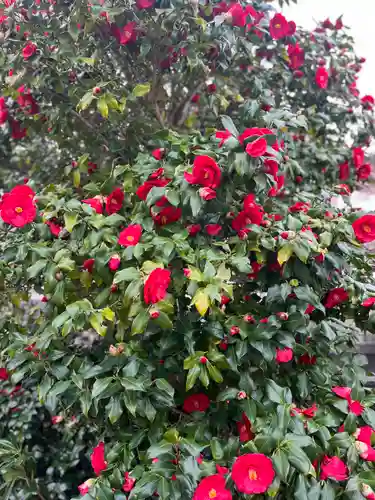 池上本門寺の自然